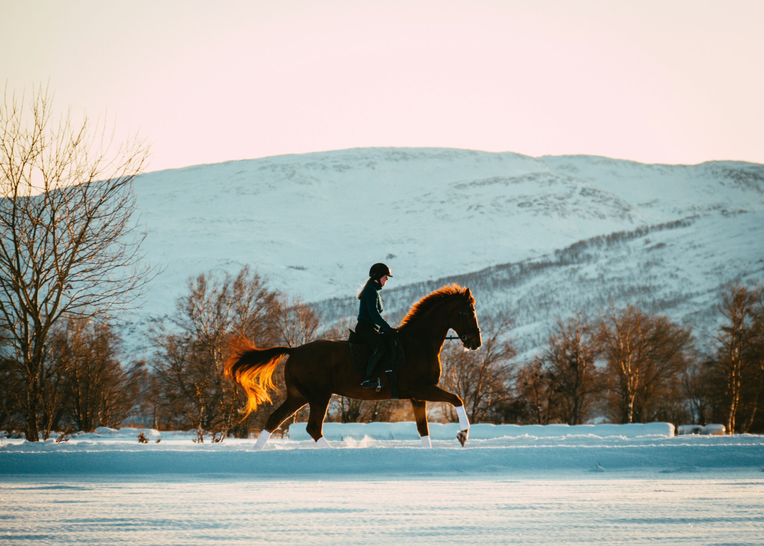 girl riding horse through snow with mountains in the background
